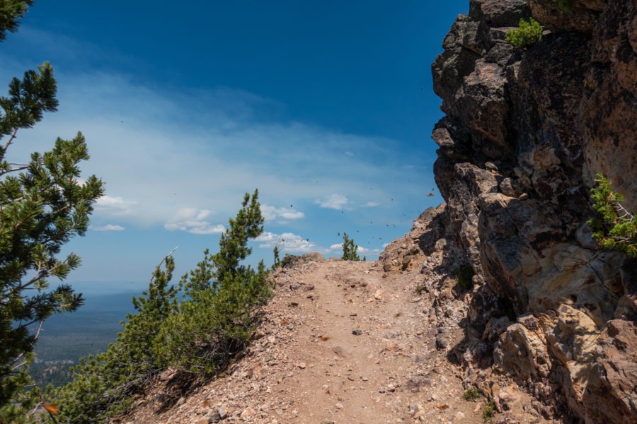 Crater Lake: Butterflies on Mount Scott
