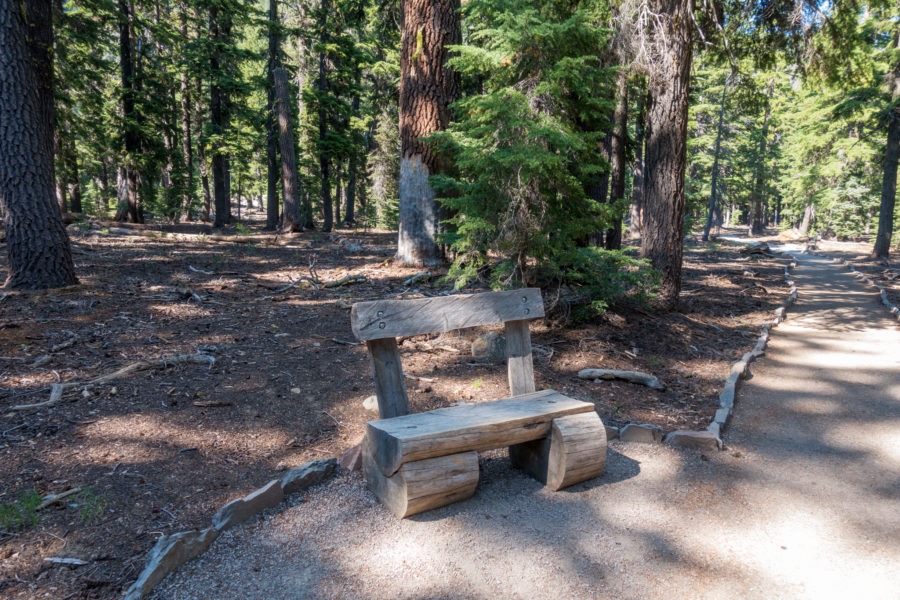 Crater Lake: Plaikni Falls Trail Bench