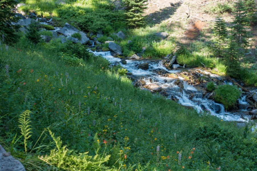 Crater Lake: Stream Coming From Plaikni Falls