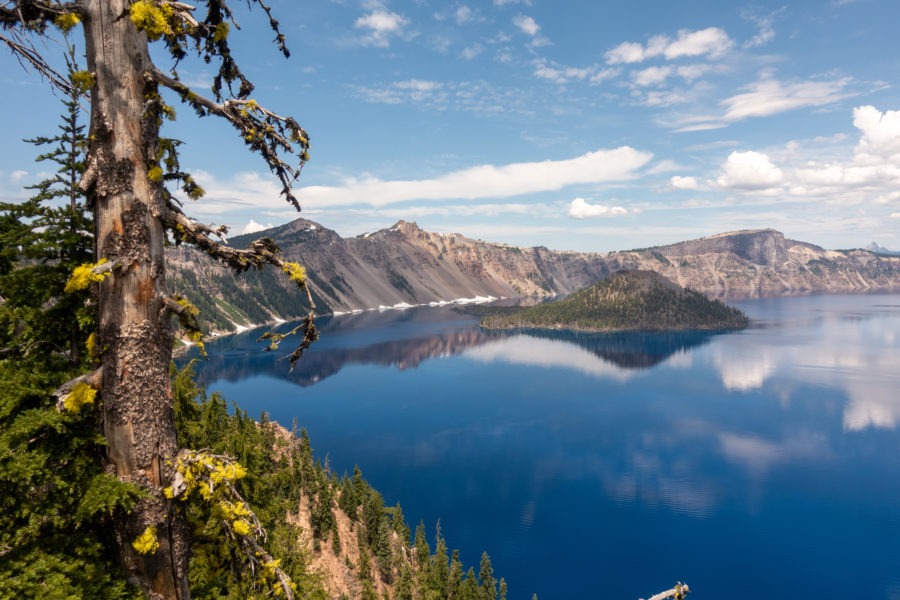 Crater Lake: View From Sinnott Overlook