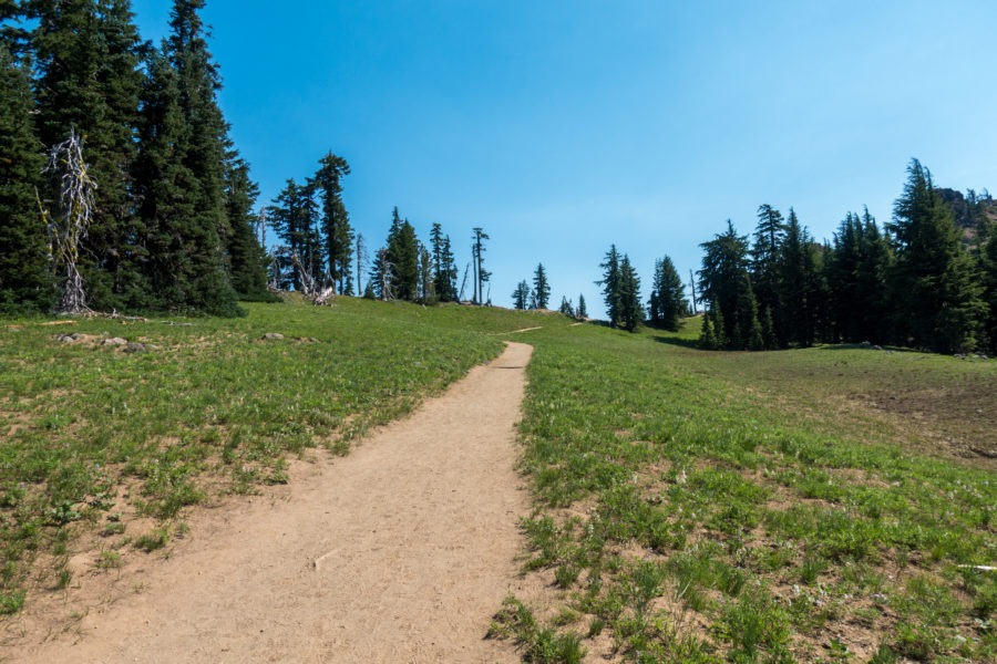 Crater Lake: Open Meadow Area at Start of Garfield Peak Hike