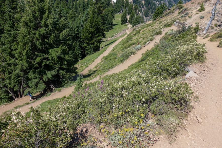 Crater Lake: Switchbacks on Garfield Peak Trail