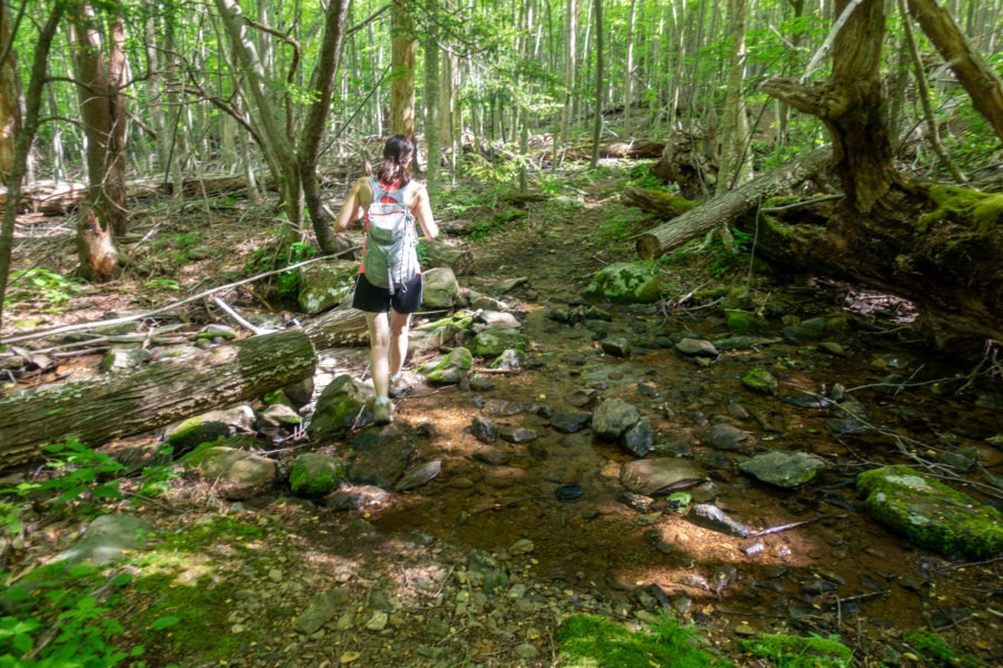 Shenandoah: Crossing Stream Over Laurel Prong Trail