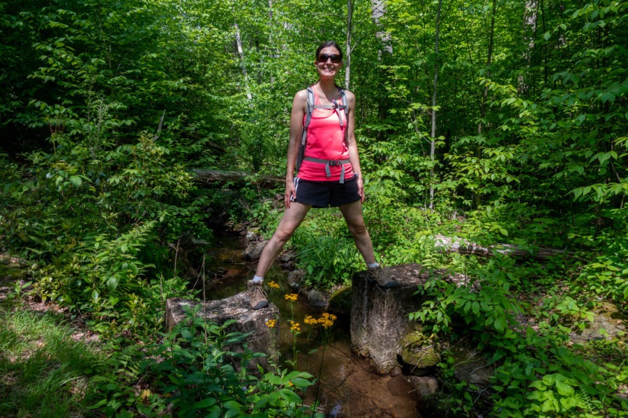 Shenandoah: Laurel Prong Dam