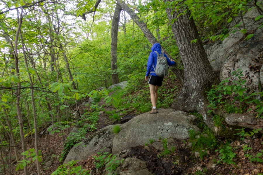 Shenandoah: Laurel Prong Trail in Rain