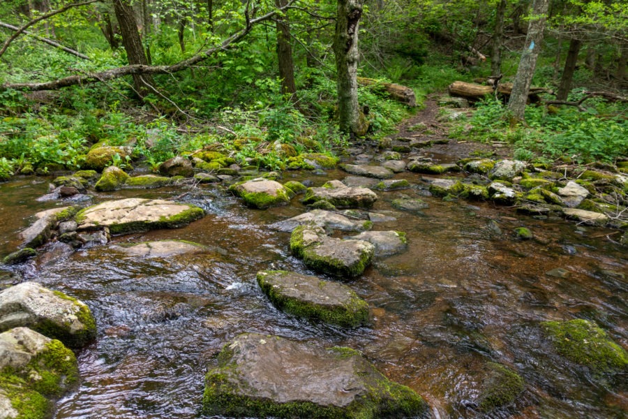 Shenandaoh: Mill Prong Stream Crossing