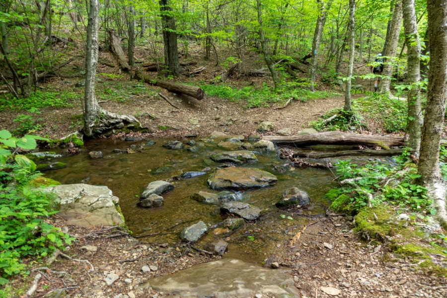 Shenandoah: Stream Crossing On Mill Prong Trail