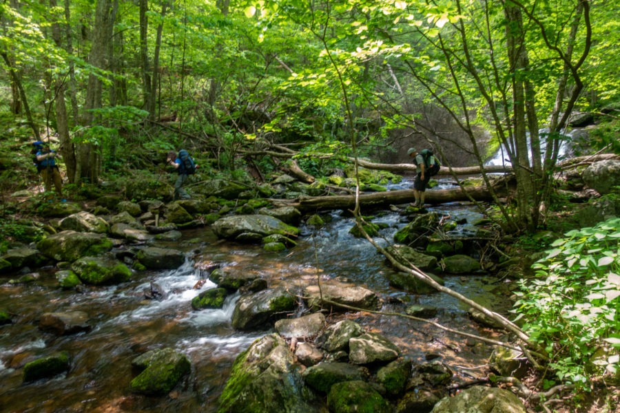 Shenandoah: Crossing Mill Prong