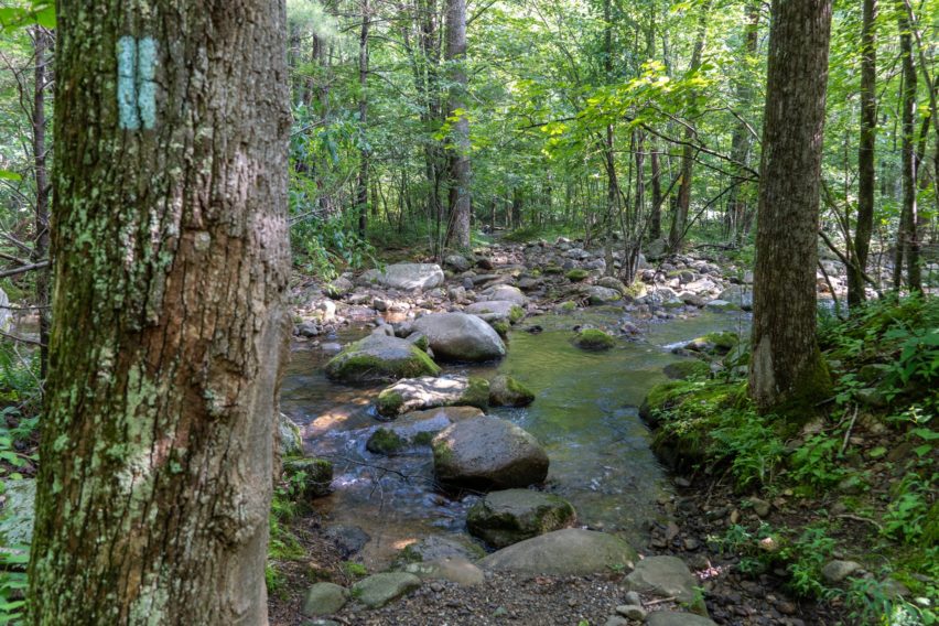 Shenandoah: Crossing Brokenback Run on Nicholson Hollow Trail
