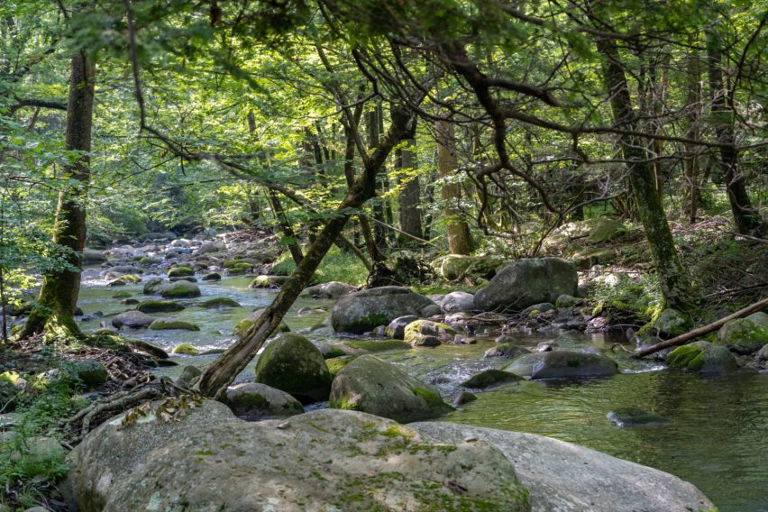 Shenandoah: Hughes River Along Nicholson Hollow Trail