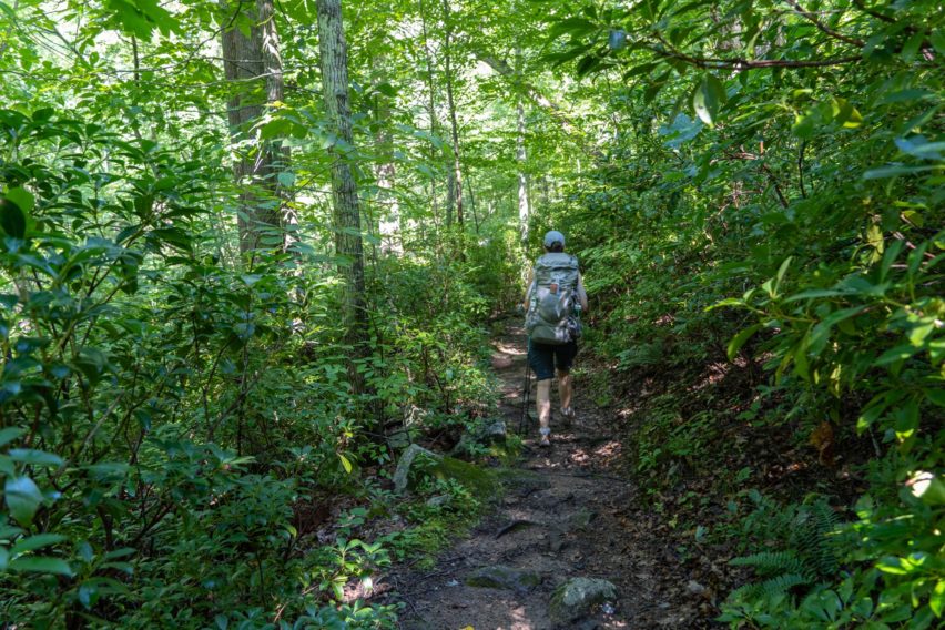 Shenandoah: Nicholson Hollow Trail