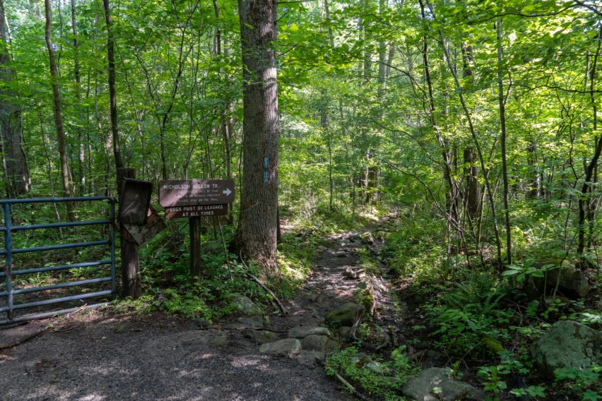 Shenandoah: Nicholson Hollow Trailhead