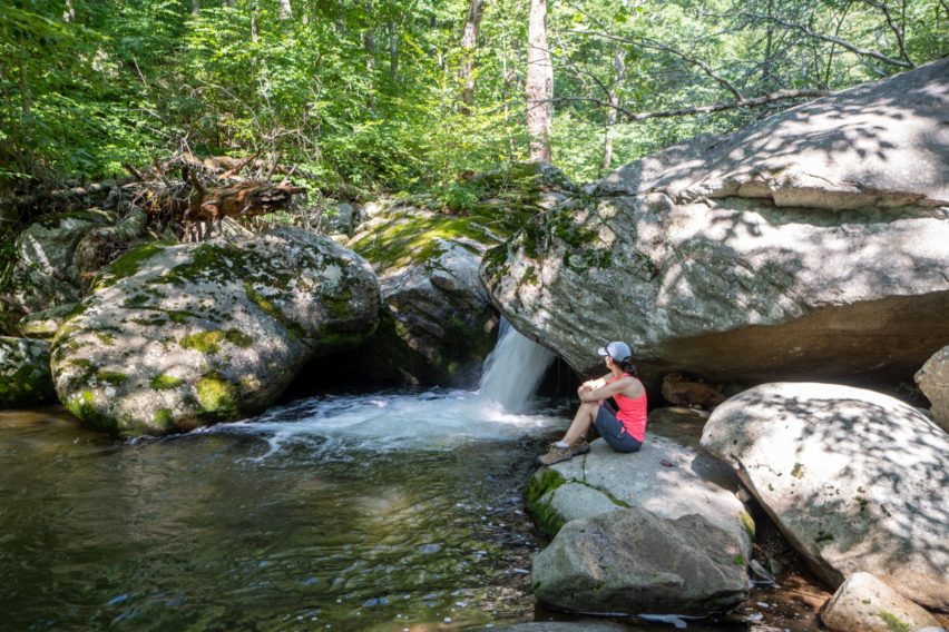 Shenandoah: Waterfall Along Nicholson Hollow Trail