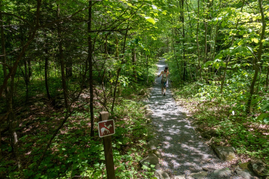 Shenandoah: Gravel Path to Rapidan Camp