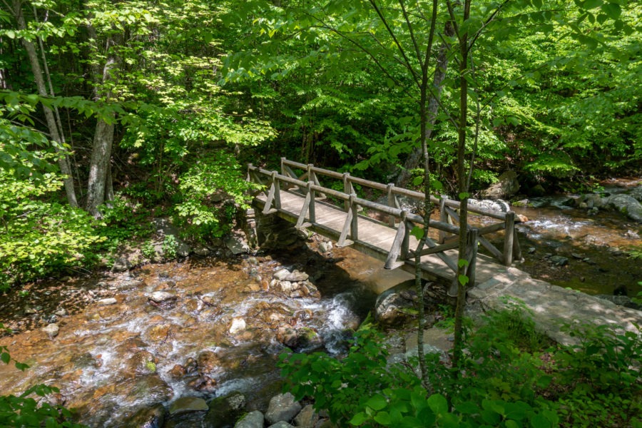 Shenandoah: Bridge Over Mill Prong