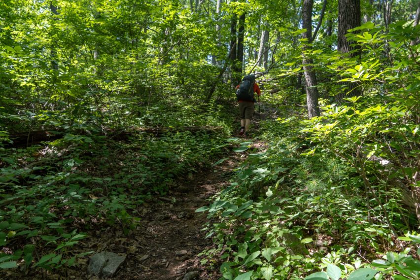 Shenandoah: Ascending White Rocks Trail