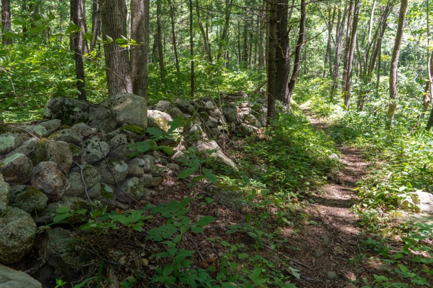 Shenandoah: Old Stone Wall on Hannah Run Trail
