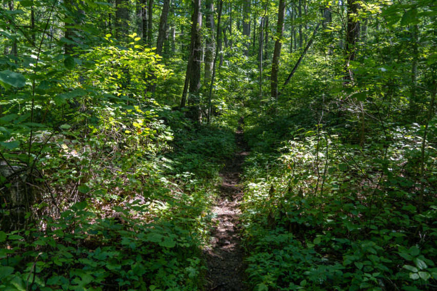 Shenandoah: Hot Mountain-Short Mountain Trail
