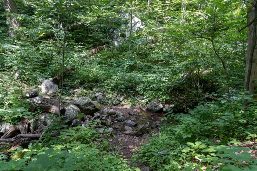 Shenandoah: Stream Crossing Hannah Run Trail
