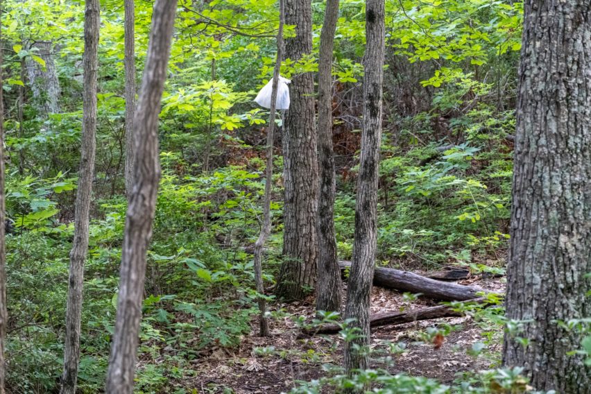 Shenandoah: Terrible Example of a Bear Bag
