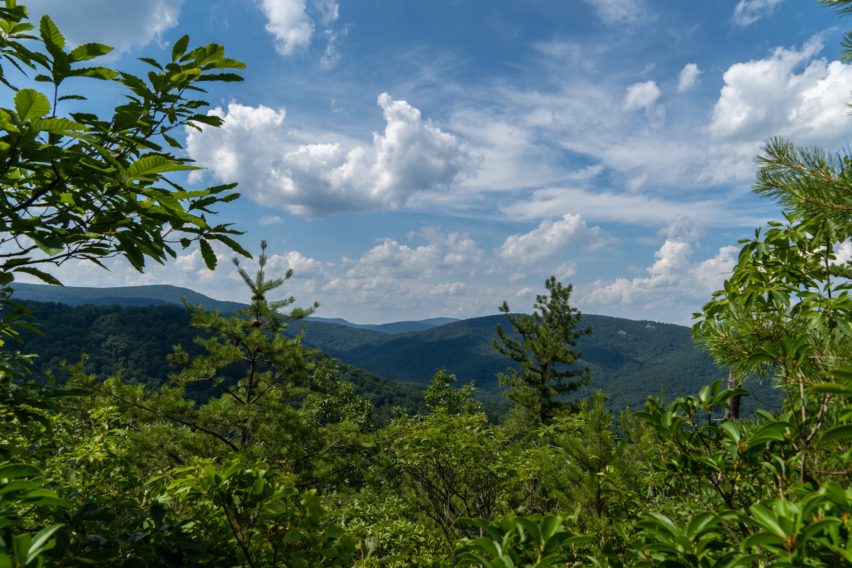 Shenandoah: View North on White Rocks Trail