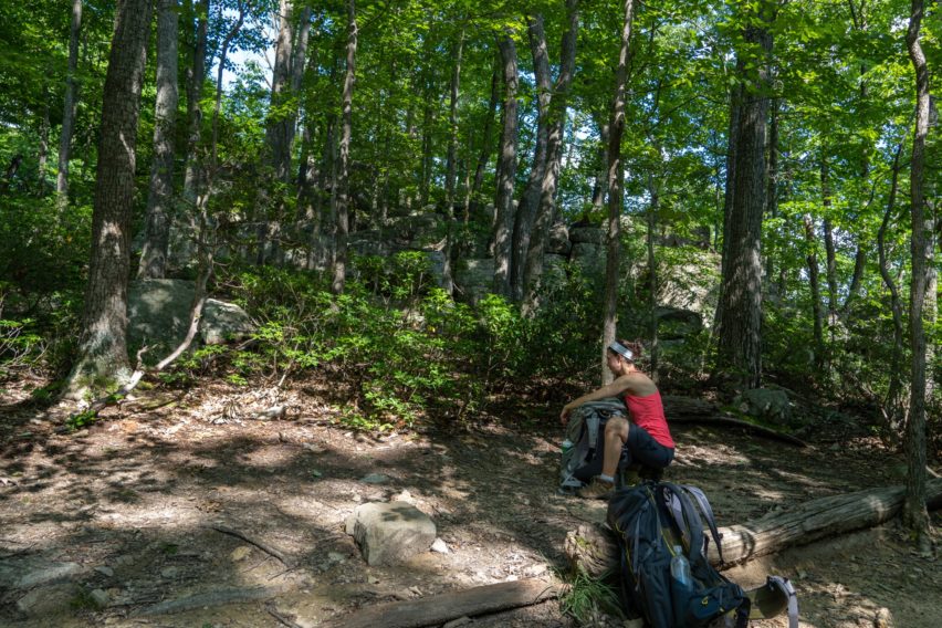Shenandoah: Campsite Near Cave/Falls Spur Trail Intersection
