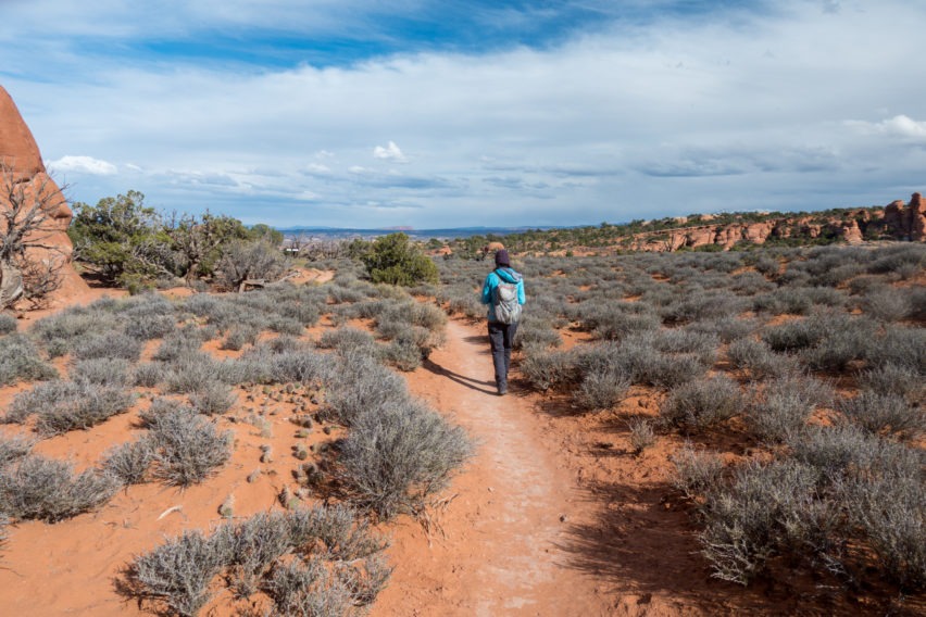 Arches: Trail Through Prairie