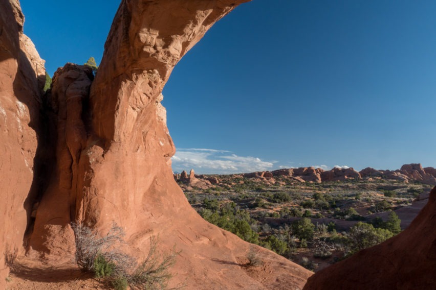 Arches: Looking Out From Behind Tapestry Arch
