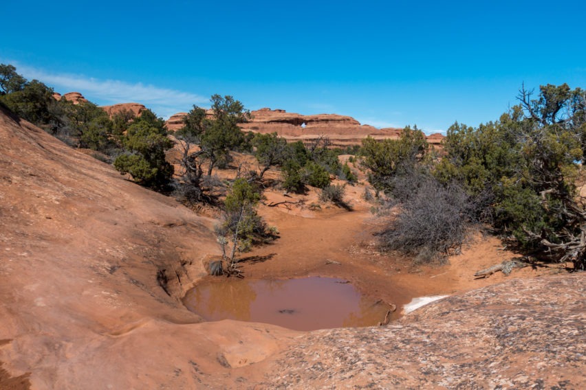 Arches: Water Puddle with Top Story Arch in Distance