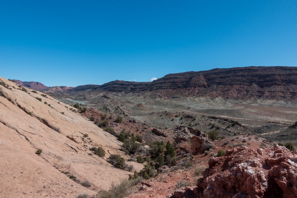 Arches: Area Around Delicate Arch Viewpoint Trails