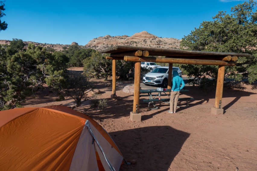 Canyonlands: Willow Flat Campground Site 8