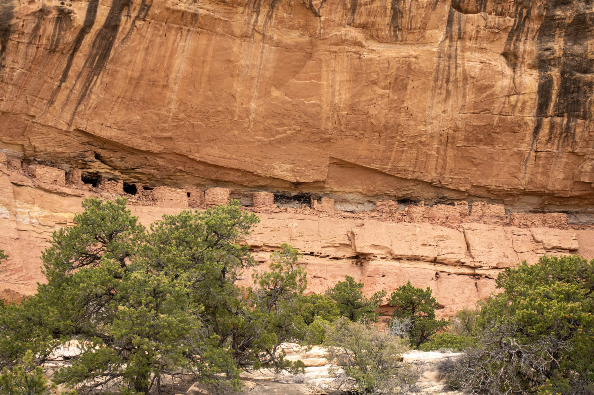 Doll's Head Trail: It's possibly the strangest hike you'll ever take