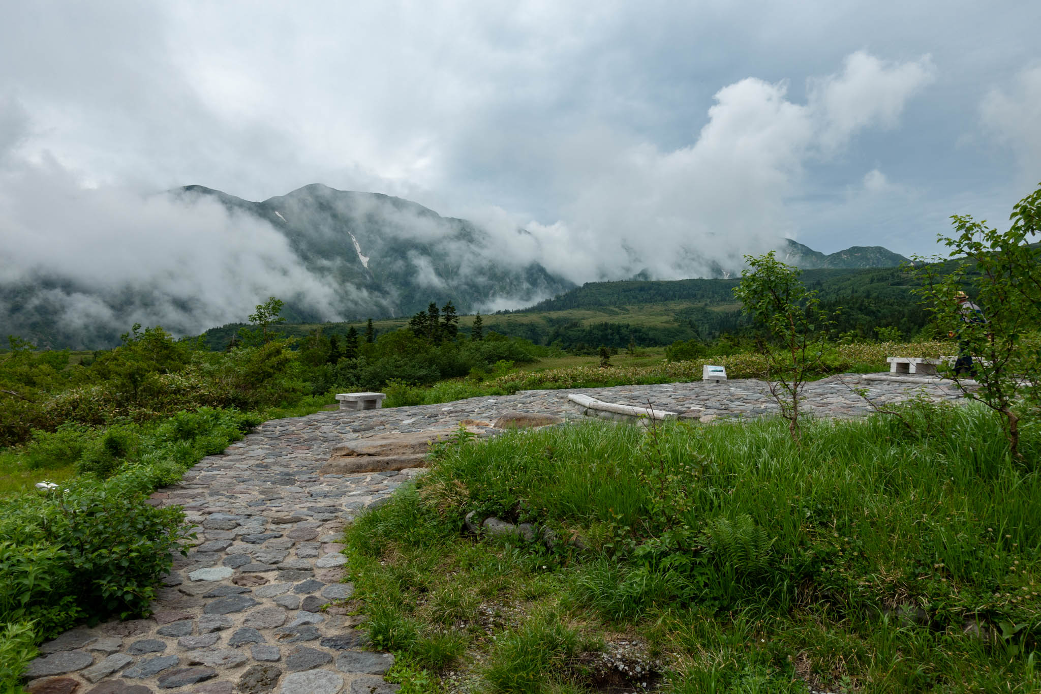 Chubusangaku: Midagahara and Murodo on the Tateyama Kurobe Alpine